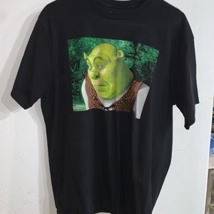 L - meme shrek shirt || hot topic